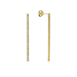 PENDIENTES LARGOS SHINY.